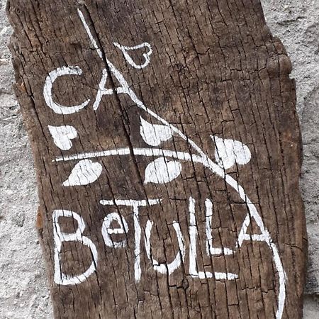 Ca Betulla Villa Novate Mezzola Exteriör bild