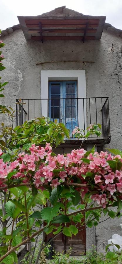 Ca Betulla Villa Novate Mezzola Exteriör bild
