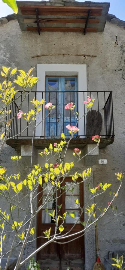 Ca Betulla Villa Novate Mezzola Exteriör bild