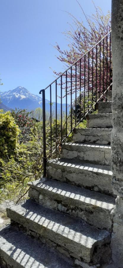 Ca Betulla Villa Novate Mezzola Exteriör bild