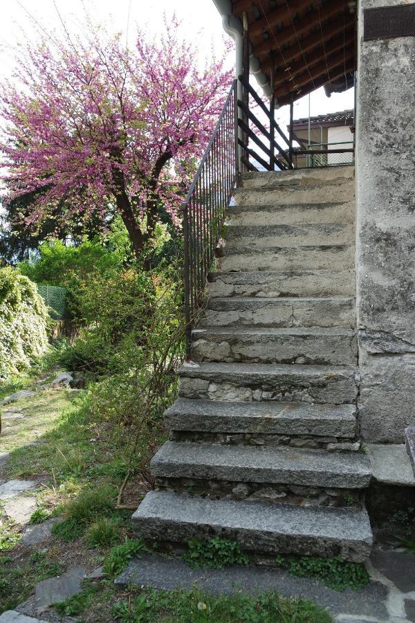 Ca Betulla Villa Novate Mezzola Exteriör bild