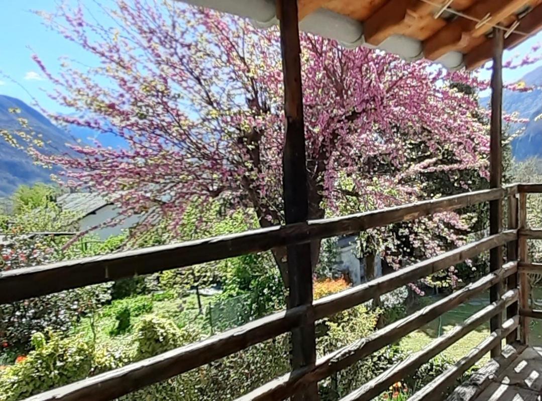 Ca Betulla Villa Novate Mezzola Exteriör bild