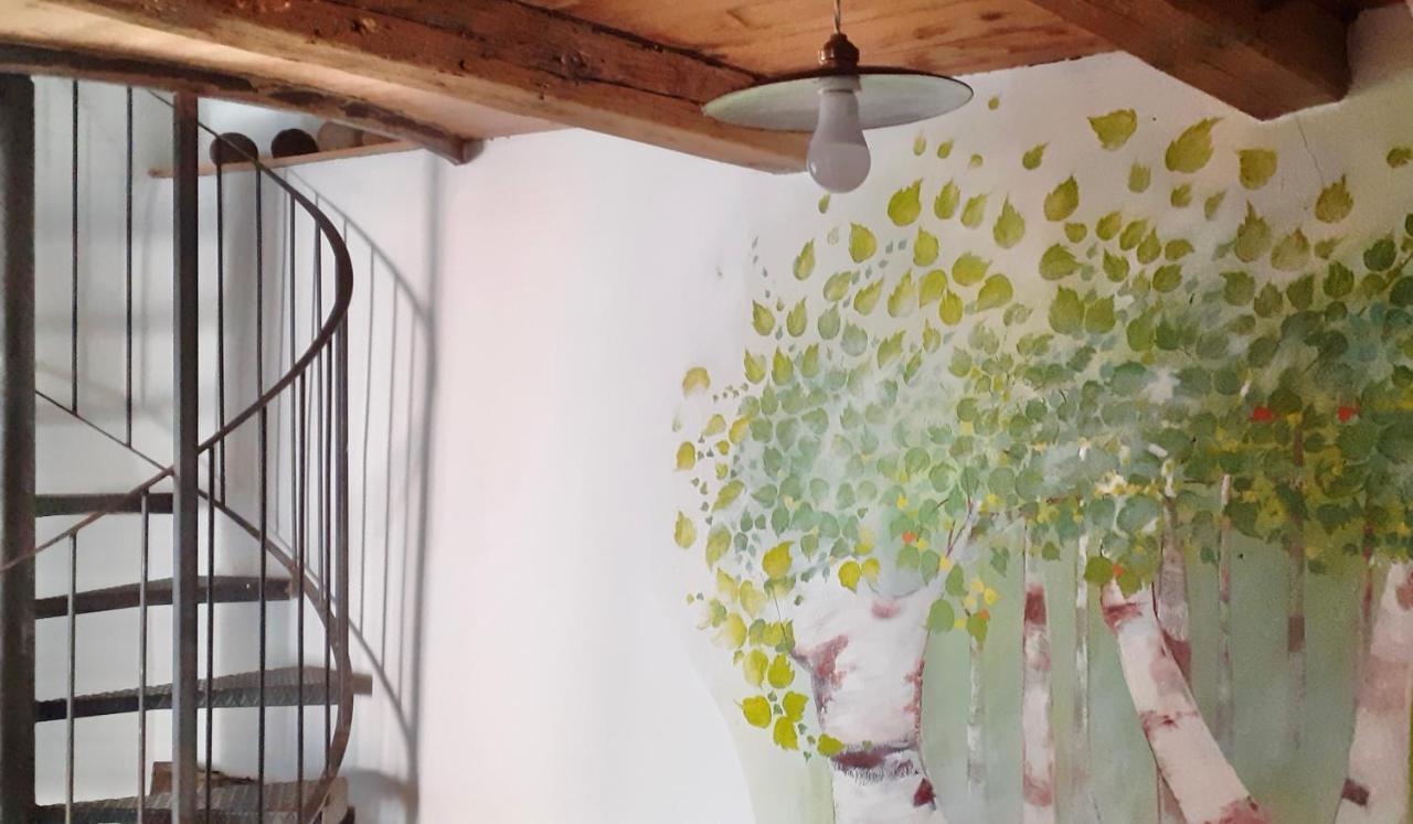 Ca Betulla Villa Novate Mezzola Exteriör bild