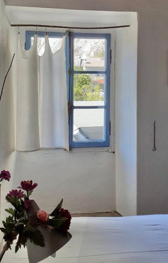 Ca Betulla Villa Novate Mezzola Exteriör bild